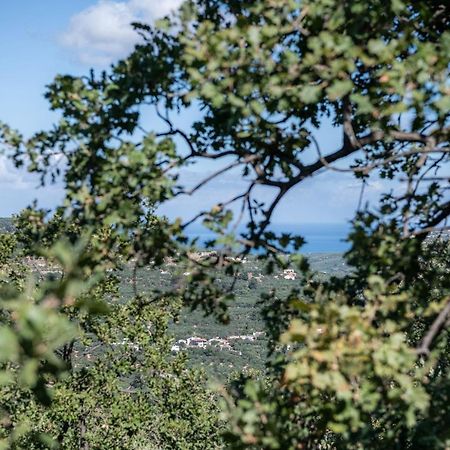 Velanis Ηouse, Style Into Nature - Secluded キサモス エクステリア 写真